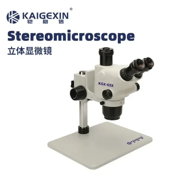 ⁦KAIGEXIN KGX-6565X مايكروسكوب⁩ - الصورة ⁦1⁩